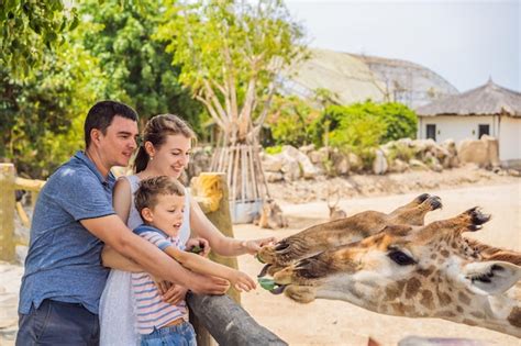 Familie mit Babytrage im Zoo