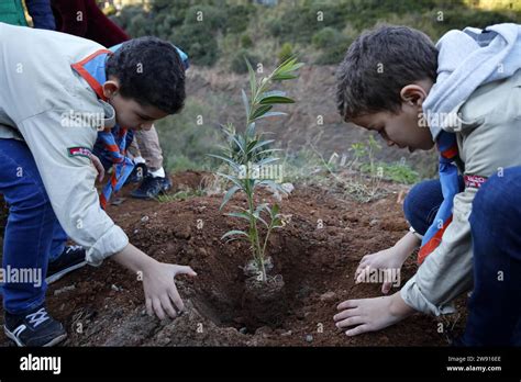 Kinder pflanzen einen Baum im Rahmen des Kita21-Projekts