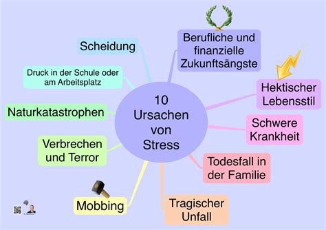 Infografik, die die verschiedenen Ursachen von fettiger Haut (Hormone, Genetik, Stress, Umwelt) und deren Auswirkungen darstellt.