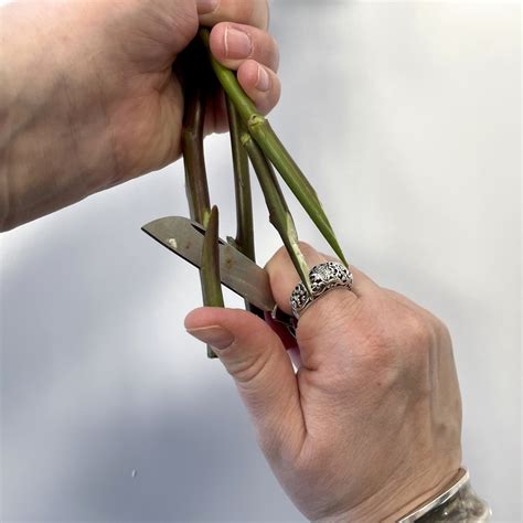 Schräges Anschneiden der Kartuschenspitze für die Silikondüse