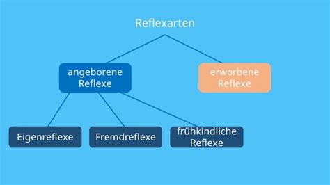 Infografik: Vergleich verschiedener frühkindlicher Reflexe und ihrer Dauer