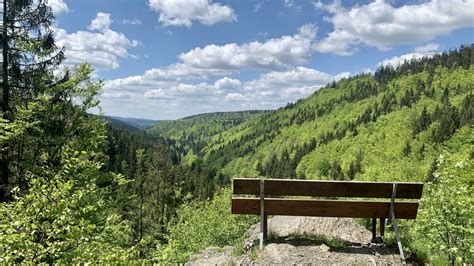 Panoramablick auf das Blockhaus im Frankenwald mit umliegender Natur