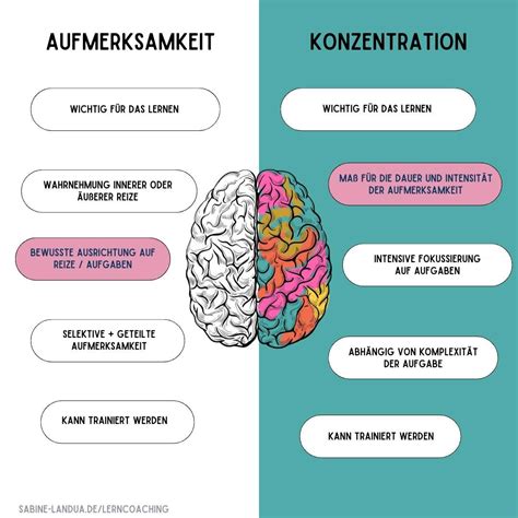 Grafik, die den Unterschied zwischen alltäglicher Aufmerksamkeit und fokussierter Trance verdeutlicht.