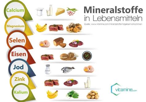 Schema zur Darstellung der wichtigsten Vitamine und Mineralstoffe in der Schwangerschaft und ihrer Funktionen