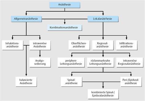 Schema der Anästhesieverfahren in der Geburtshilfe
