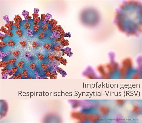 Grafische Darstellung des Respiratorischen Synzytial-Virus (RSV)