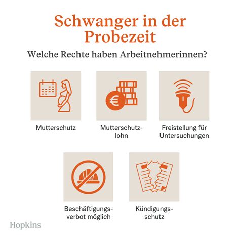 Infografik: Rechte schwangerer Arbeitnehmerinnen in der Probezeit