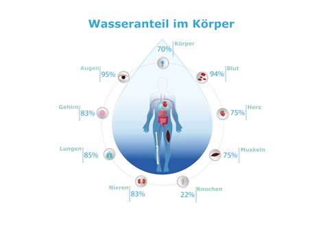 Infografik mit verschiedenen Funktionen eines Flaschenwärmers (z.B. Aufwärmzeit, Warmhaltefunktion, Auftauen)