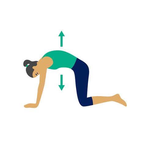 Illustration einer Frau im Vierfüßlerstand, die eine sanfte Bauchübung ausführt