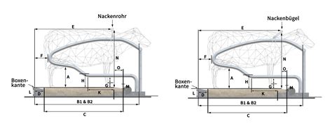 Detailansicht einer Kuhbox mit Nackenrohr