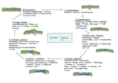 Schema des Wilson-Zyklus mit seinen acht Phasen