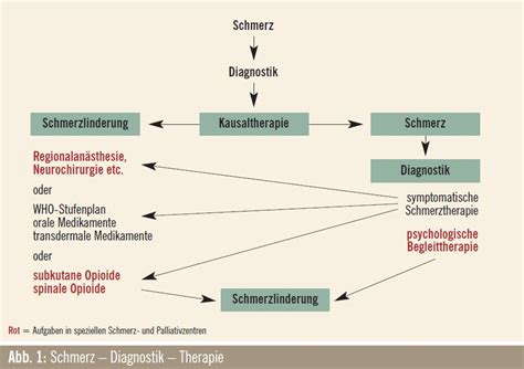 Schema zur medikamentösen Behandlung eines Schwangerschaftsverlusts mit den Zeitabläufen und möglichen Nebenwirkungen.
