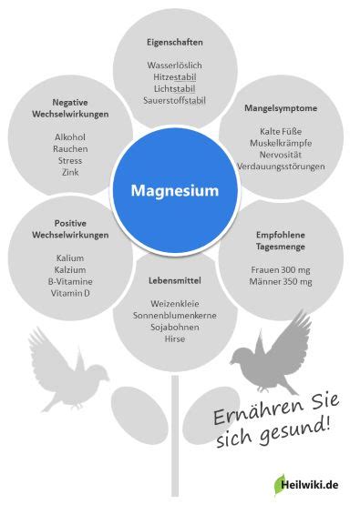 Infografik zur Wirkung von Magnesium im Körper während der Schwangerschaft