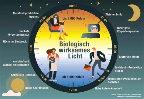 Infografik: Wie Licht den Melatoninspiegel beeinflusst