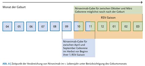 Schema zur i-Size-Norm und ihrer Sicherheitskriterien