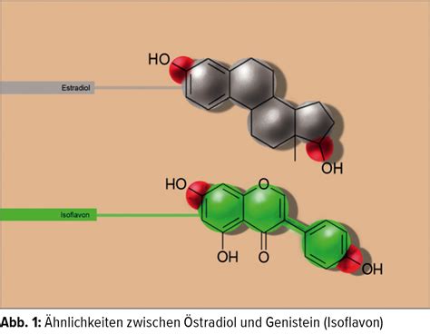 Schema, das die Ähnlichkeit von Isoflavonen und Östrogenen zeigt