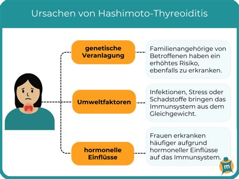 Infografik, die die Autoimmunreaktion bei Hashimoto-Thyreoiditis darstellt