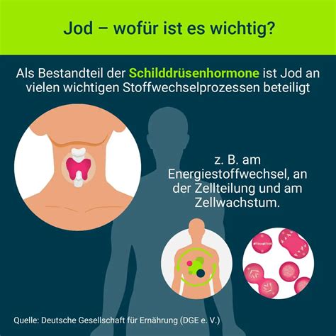 Infografik über die Bedeutung von Jod und Folsäure während der Schwangerschaft