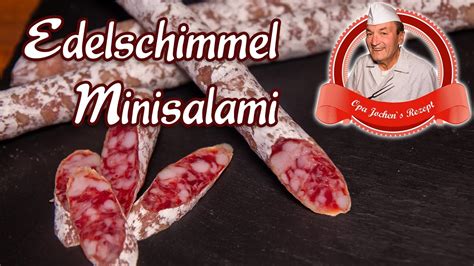 Illustration von Salami mit Edelschimmel, die für stillende Mütter als sicher gilt.