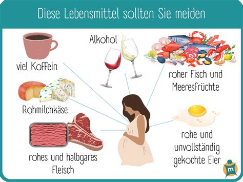 Infografik mit einer Übersicht über erlaubte und zu meidende Lebensmittel in der Stillzeit.