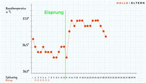 Diagramm zur Basaltemperaturkurve während des Zyklus