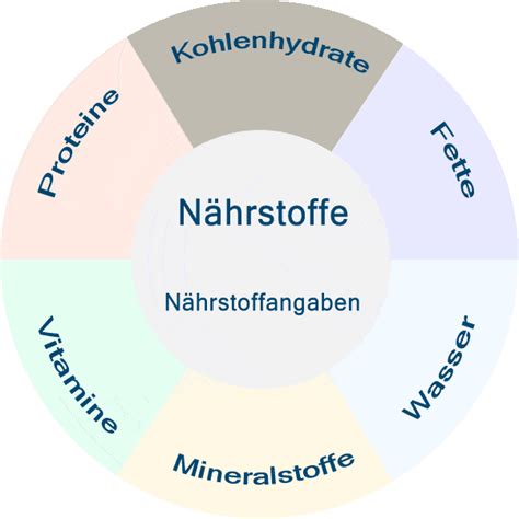Infografik: Wichtige Nährstoffe in Elevit 1 und ihre Funktionen