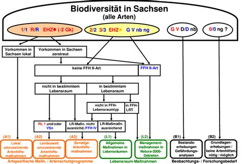 Schema des schrittweisen Aufbaus von Beikostmahlzeiten