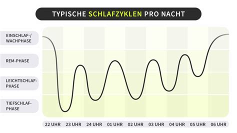 Schema der Schlafzyklen eines Neugeborenen im Vergleich zu Erwachsenen