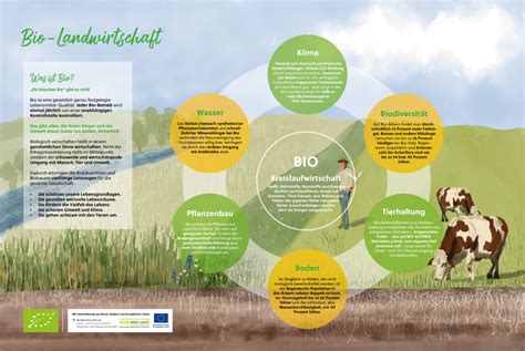 Infografik: Vorteile ökologischer Landwirtschaft