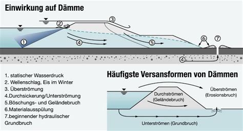 Illustration der Anatomie des Damms und möglicher Rissbereiche
