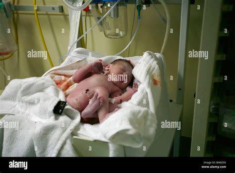 Foto des Vaters Percy kurz nach der Geburt im blutverschmierten Pulli mit dem Hinweis 