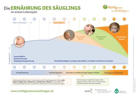 Zusammensetzung von Säuglingsnahrung: Übersicht der Hauptbestandteile und ihrer Funktionen