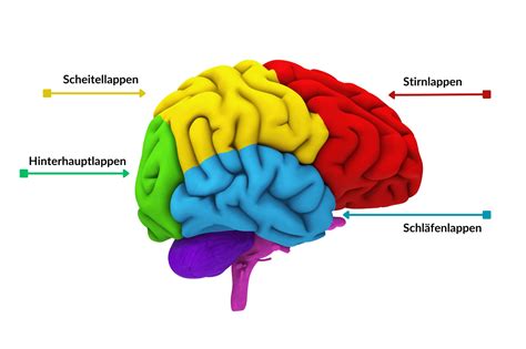 Illustration des Reparatursets für das Zentralgelenk mit den einzelnen Komponenten