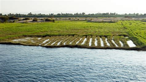 Historische Darstellung von ägyptischen Bauern, die Dämme zur Bewässerung von Feldern am Nil bauen.