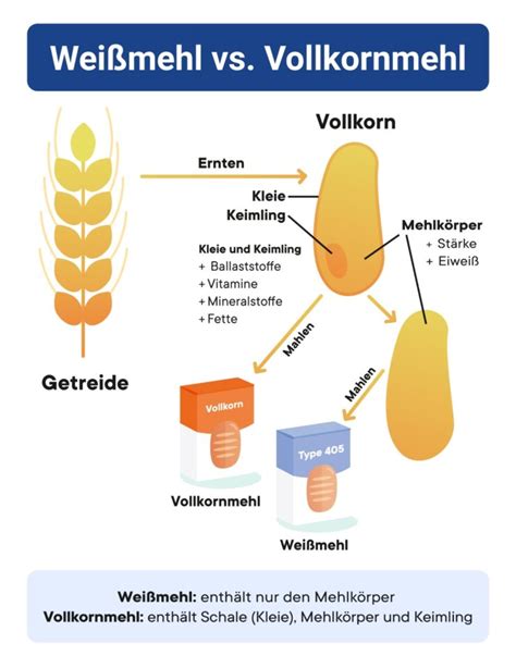 Schema zur Zusammensetzung eines idealen Baby-Getreidebreis mit Hervorhebung von Vollkorn, gesunden Fetten und Vitaminen
