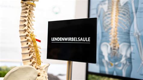 Schematische Darstellung der PDA-Anwendung im Bereich der Lendenwirbelsäule