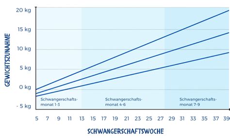 Grafik, die die durchschnittliche Gewichtszunahme während der Schwangerschaft und den typischen Gewichtsverlust im Wochenbett zeigt.