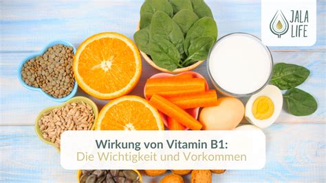Infografik: Zusammensetzung von Säuglingsmilch mit Hervorhebung von Vitamin B1 und Zuckerfreiheit