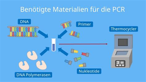 Infografik, die verschiedene Anwendungsbereiche der PCR mit entsprechenden Symbolen darstellt.