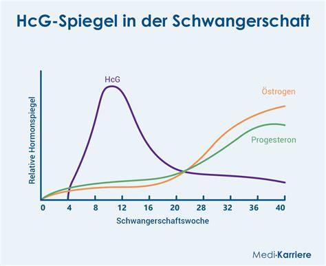 Grafik zur Veranschaulichung des HCG-Anstiegs im Schwangerschaftsverlauf und der Empfindlichkeit von Schwangerschaftstests.