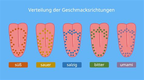Infografik mit den verschiedenen Geschmacksrichtungen und Altersangaben der Yamo-Babybreie.