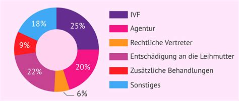 Infografik, die die typischen Schritte und Kosten einer Leihmutterschaft in der Ukraine darstellt