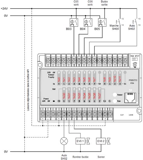 Schema des Kryokonservierungsprozesses