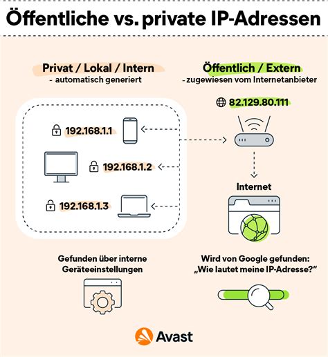 Vergleichstabelle: Private vs. Öffentliche Stammzellenbank