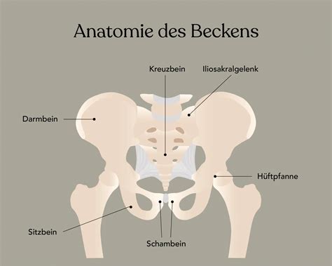 Schema, das die korrekte Verlegung des Becken- und Diagonalgurts einer Babyschale zeigt.