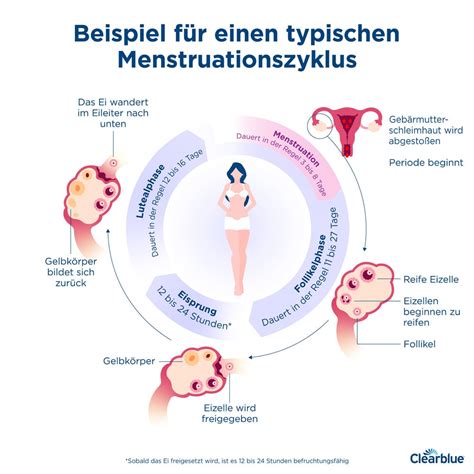 Illustration, die eine Frau zeigt, die sich während ihrer Periode selbst befriedigt, umgeben von positiven Symbolen wie einem entspannten Gesicht und einem Herz.