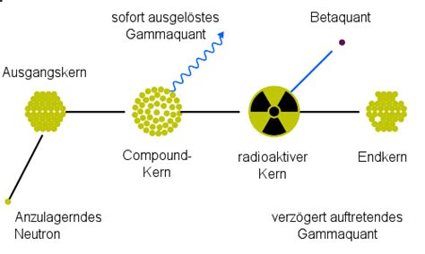 Schema der Zellschädigung durch ionisierende Strahlung und Reparaturmechanismen