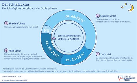 Grafik, die den Schlafzyklus eines Kindes und die Bedeutung des Mittagsschlafs für die Gehirnentwicklung zeigt