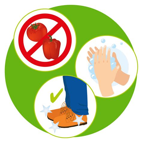 Infografik: Tipps zur Vorbeugung von Windelausschlag