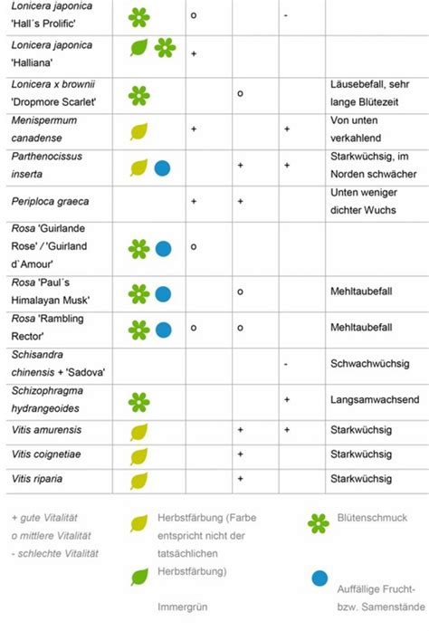 Symbolische Darstellung verschiedener Wasserquellen und deren Eignung für Babynahrung.